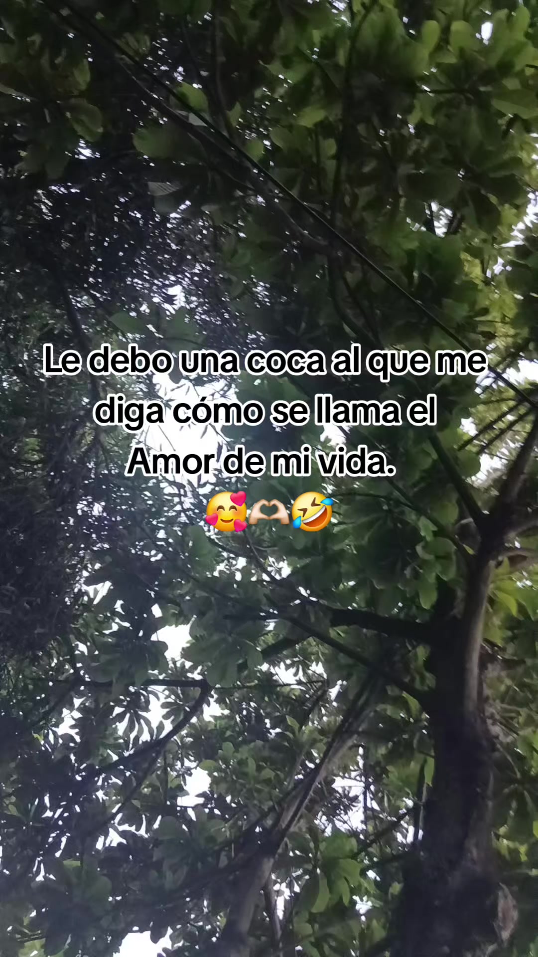 @🇳🇮 Isa la nica tin HUSKY🐺💜