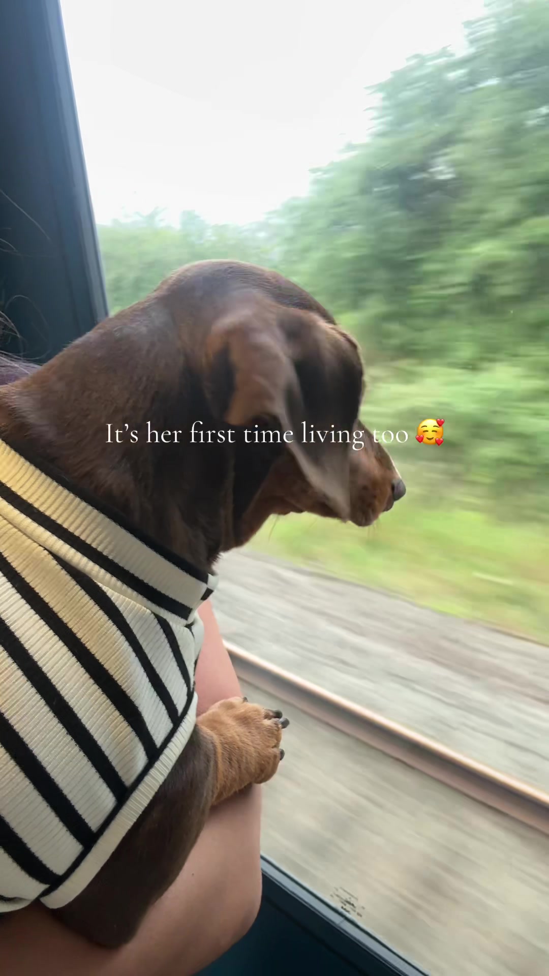 @kimmie.halfpenny