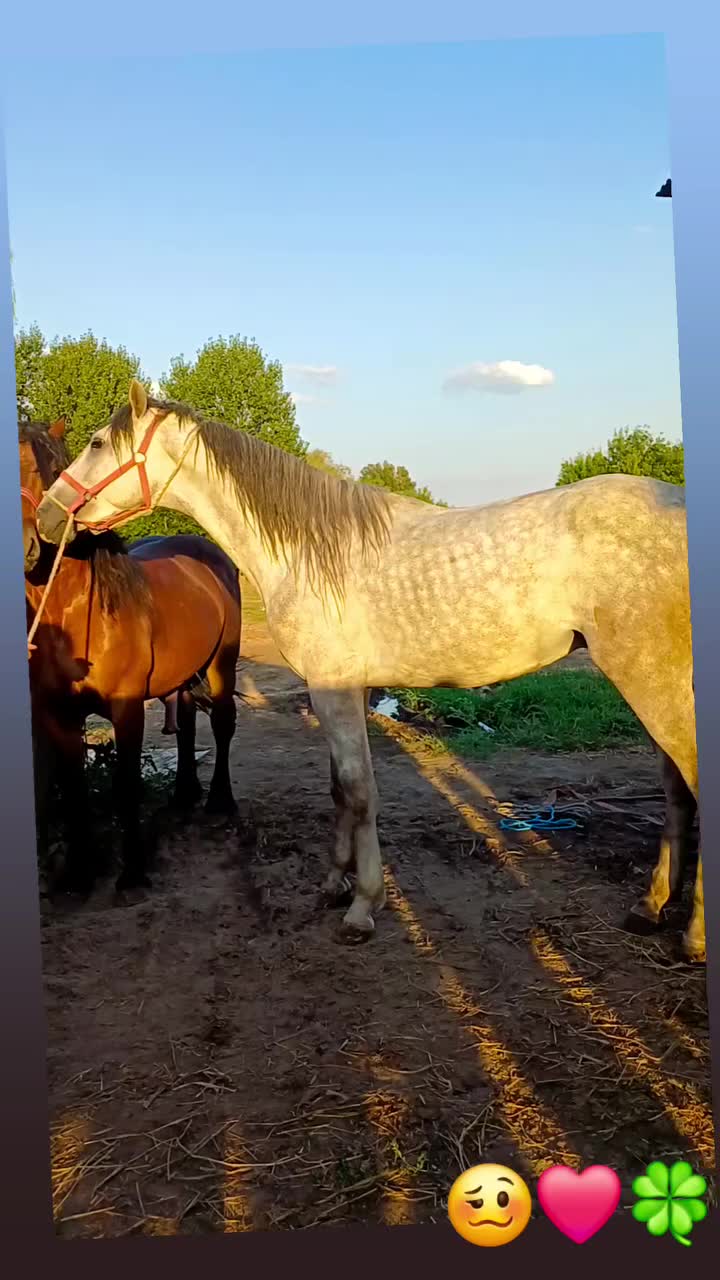 @𝓐𝓷𝓷𝓪👑