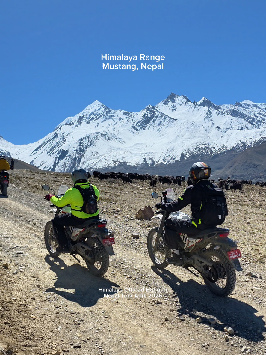 @Himalaya Offroad Explorer