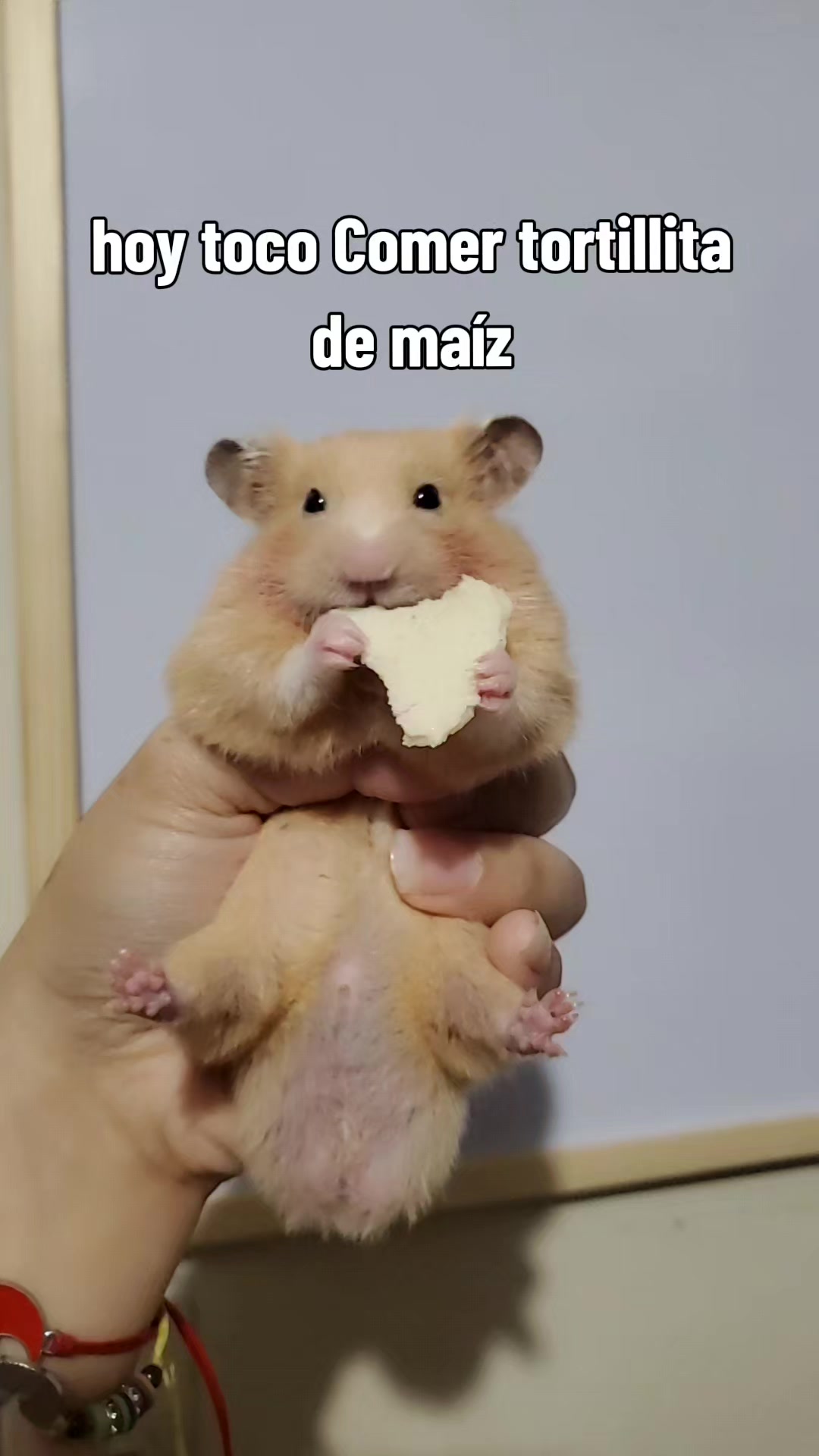 @🏴&zwj;☠️𝑯. 𝑨𝒊𝒍𝒚𝒏🍒