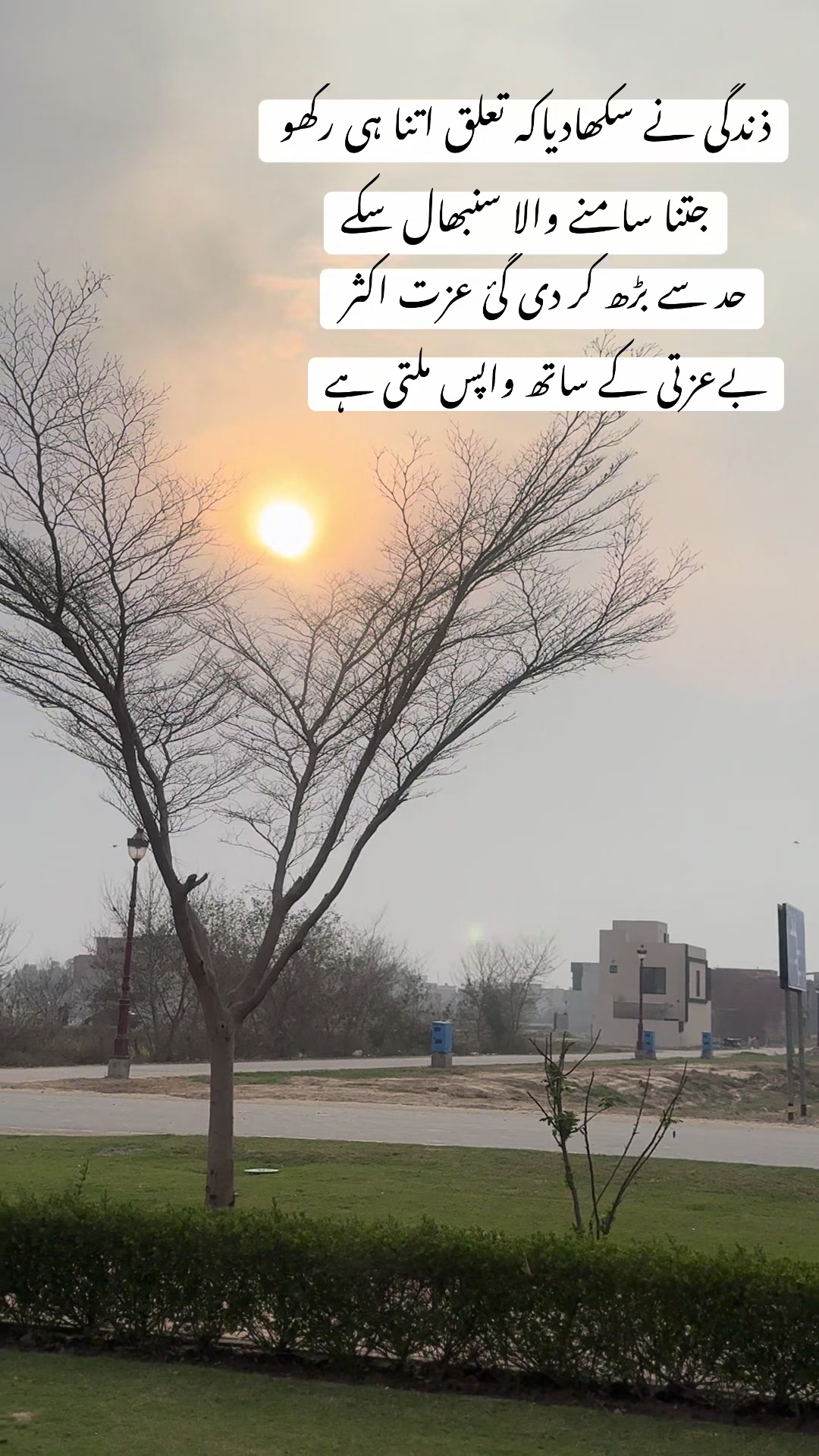 @Saira Nauman