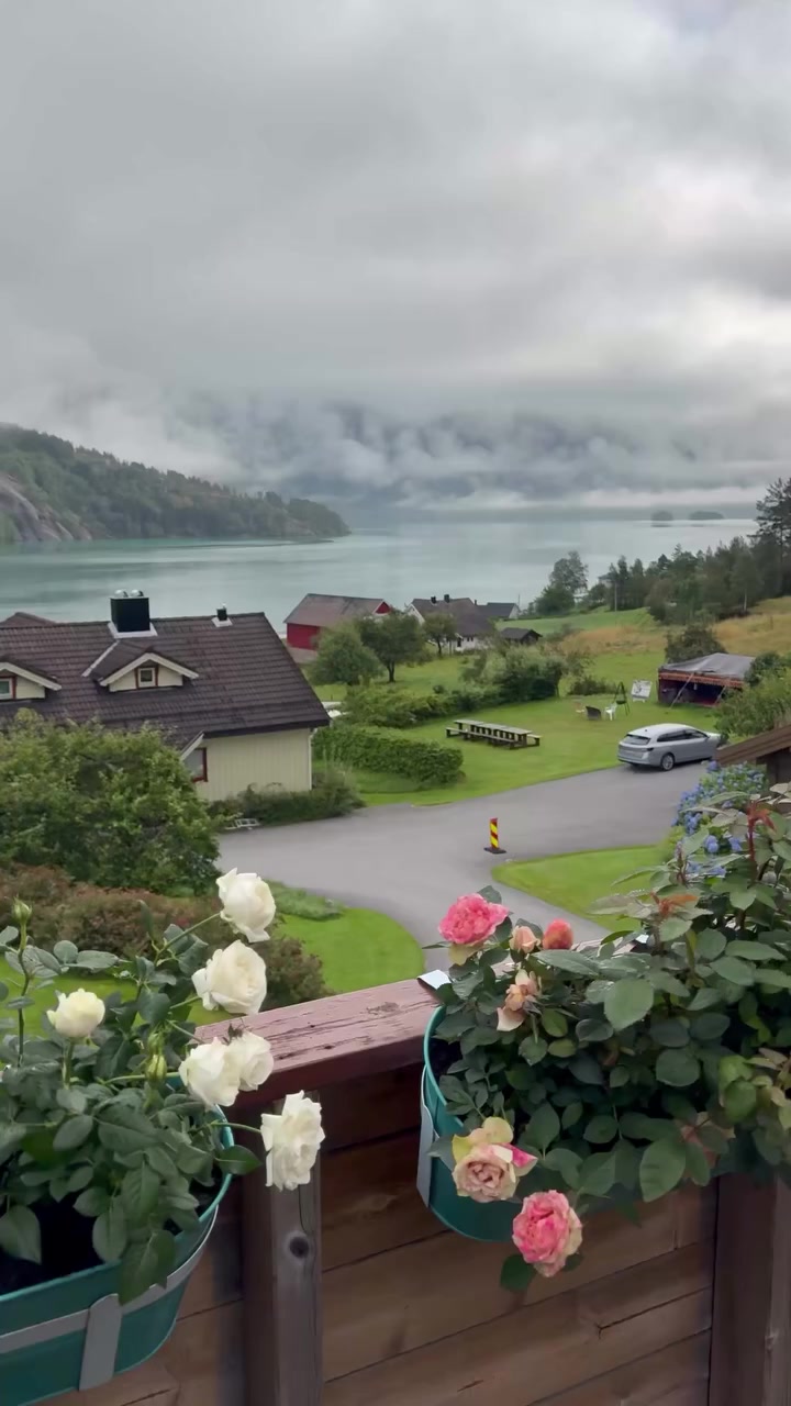 @MountainBOY🇳🇴🇨🇭🇦🇹🇵🇰
