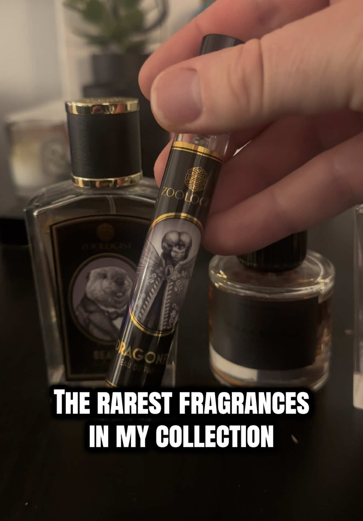@Scratch & Sniff Perfumes