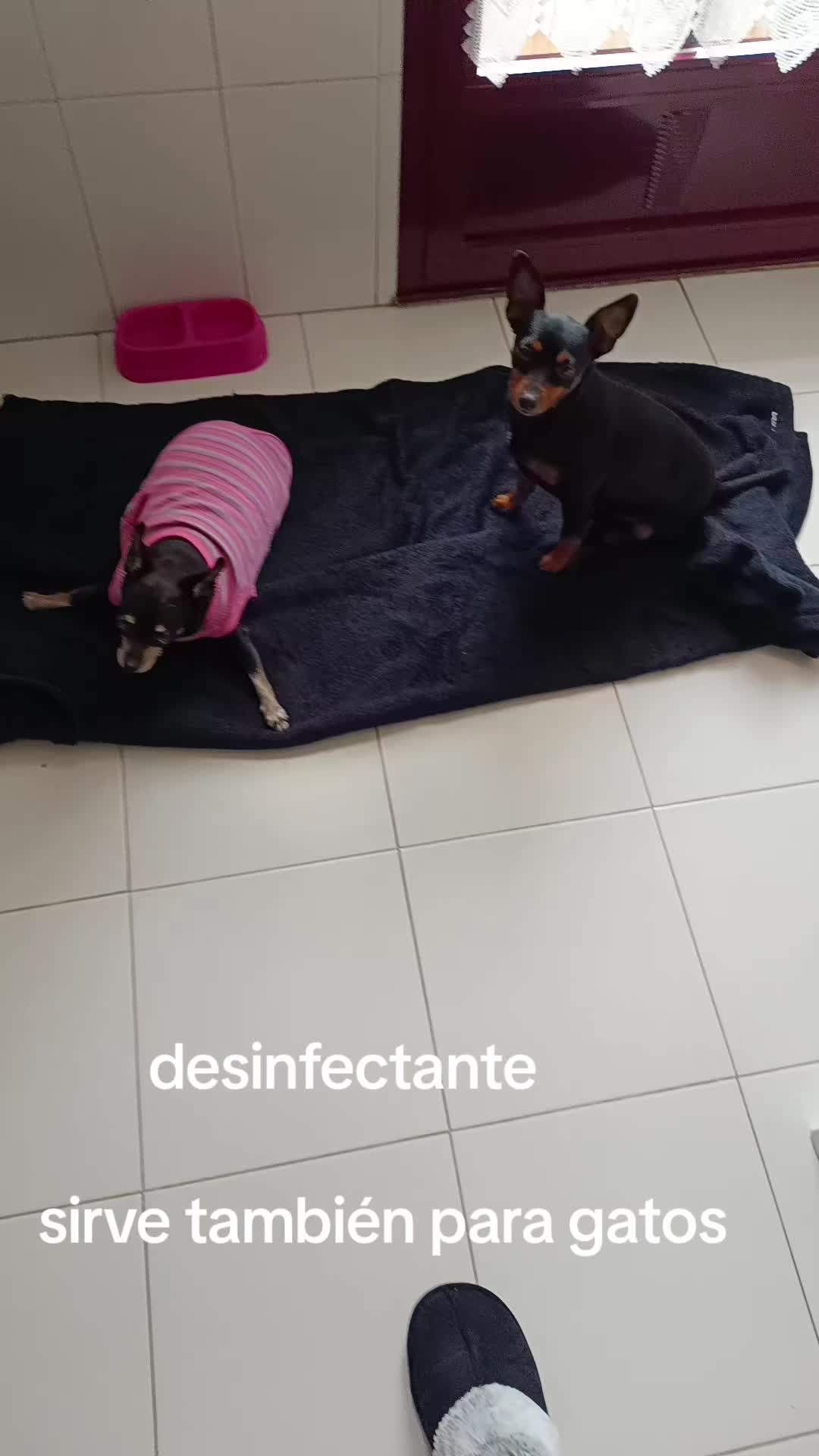 @Martín y Carlota