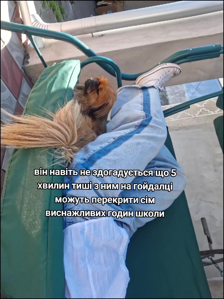 @ssbnlx [нета] 🧷