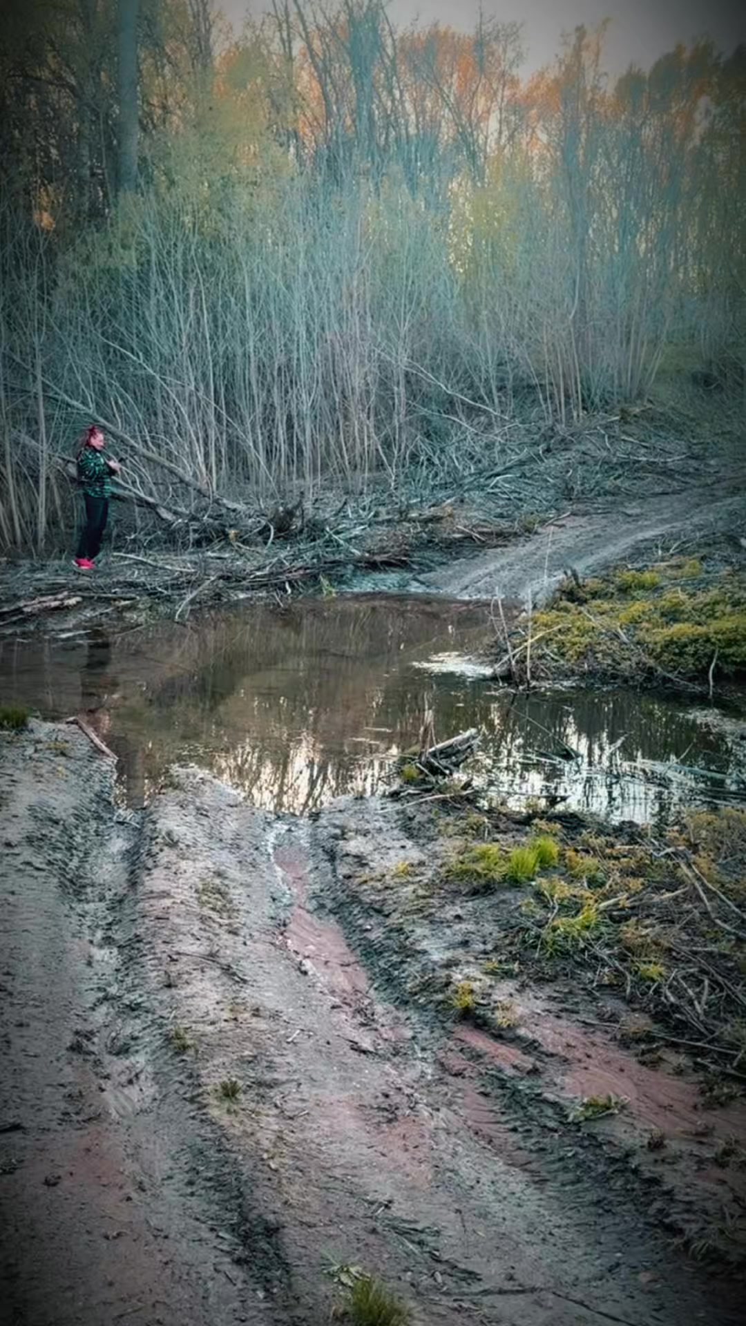 @Николай Боленко