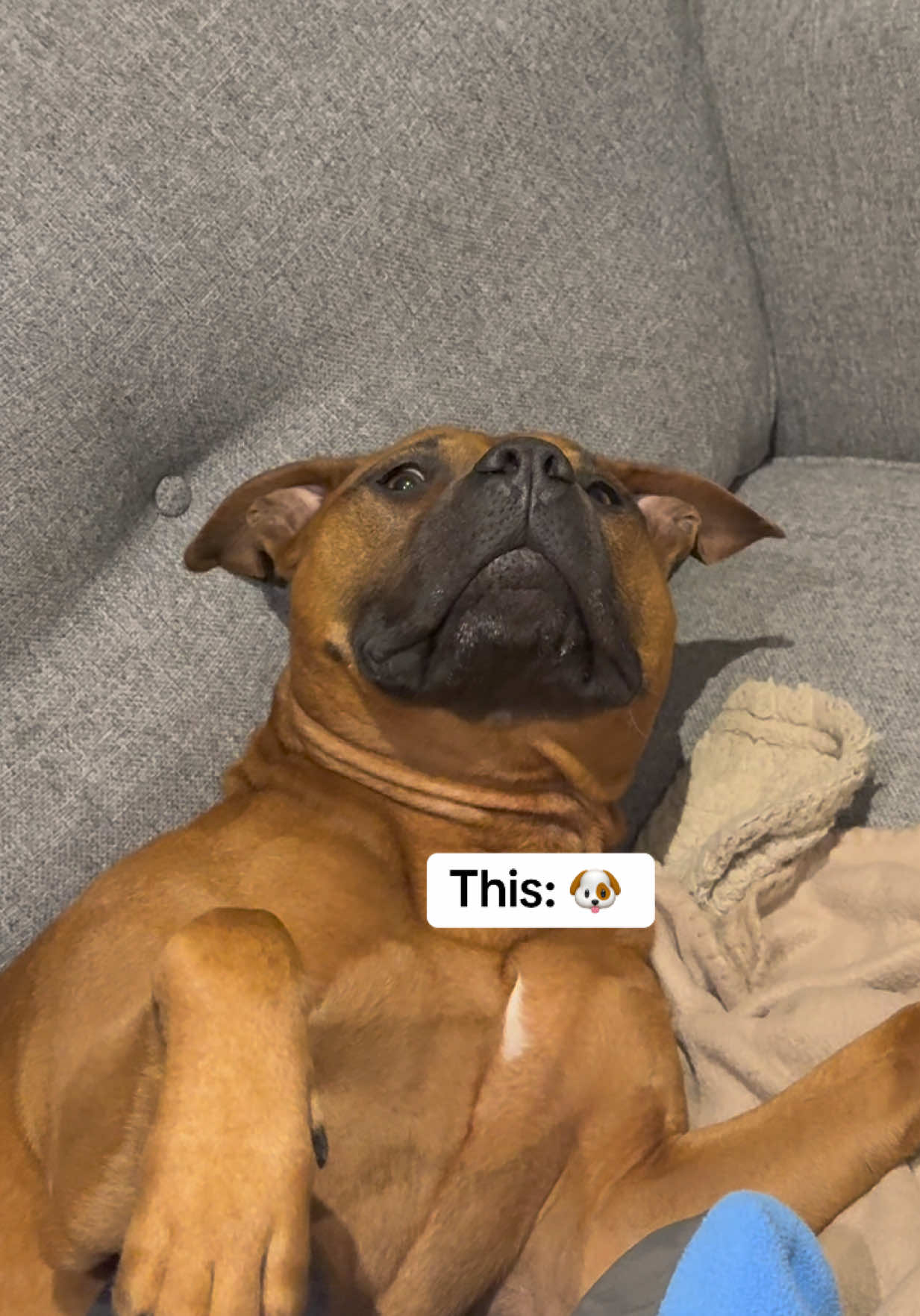 @GusTheLandSeal