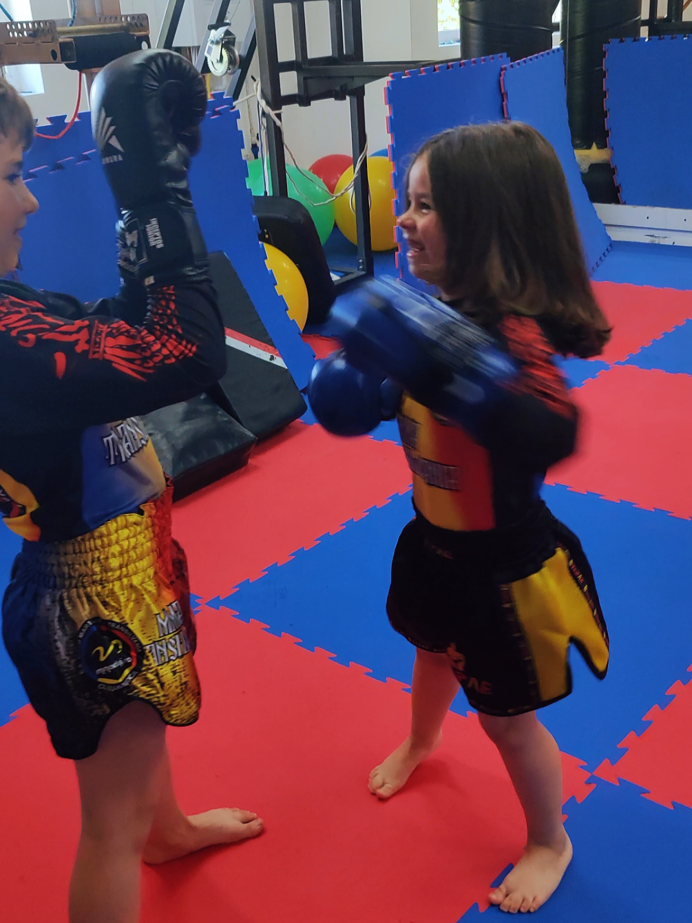@MMA Transilvania Cluj-Napoca