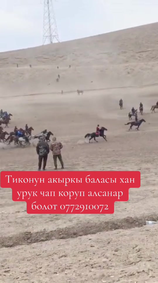 @Oskonbai Tajibaev