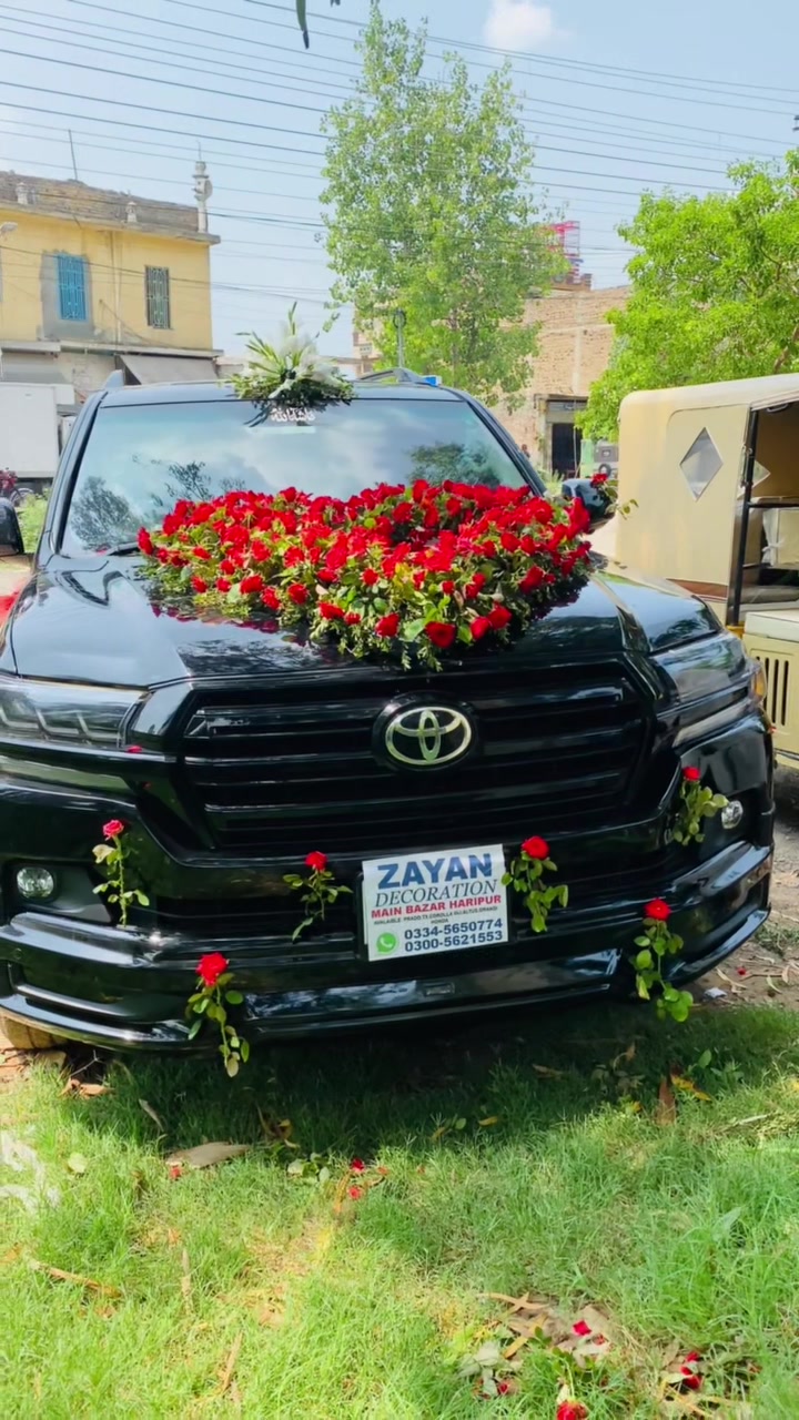 @🦋🦋ZAYAN DECORATION🦋🦋