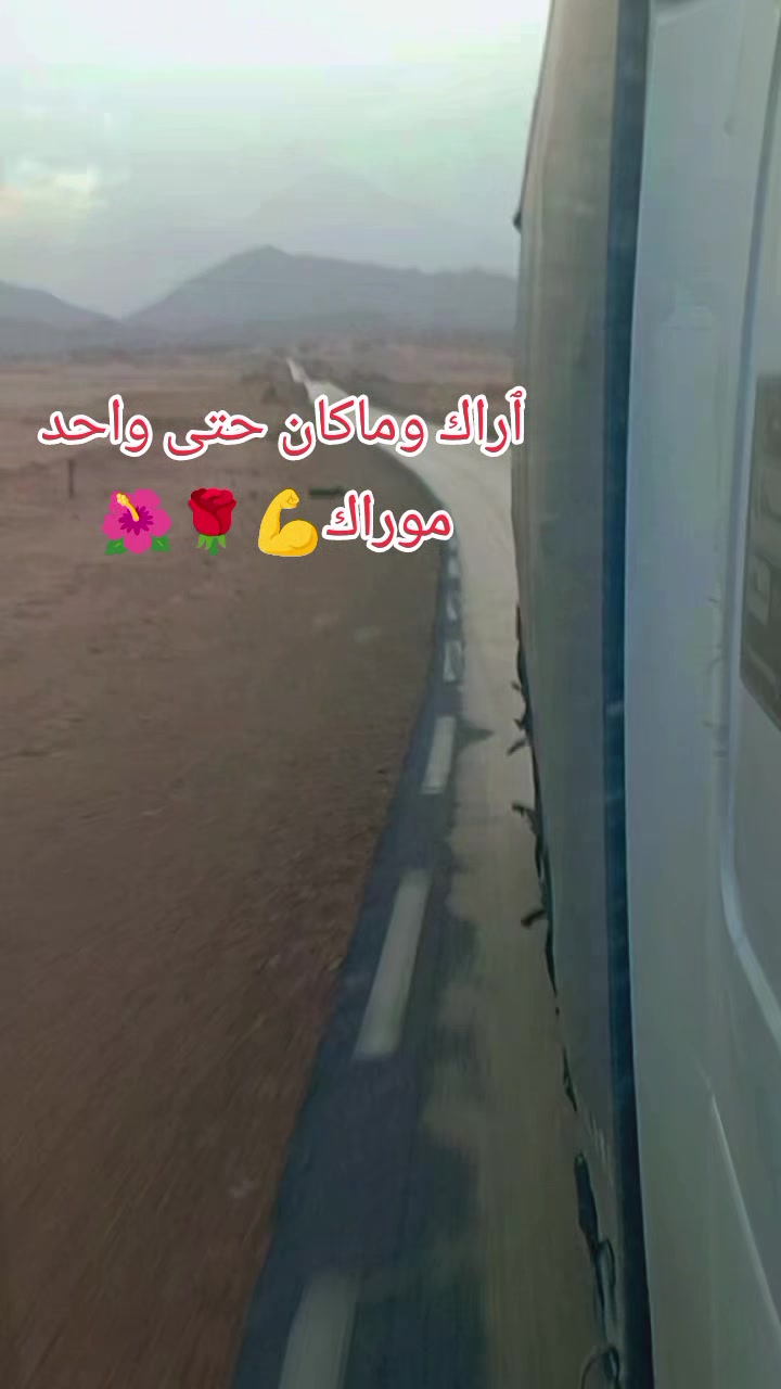 @☯️DZ🇩🇿🦋🥷