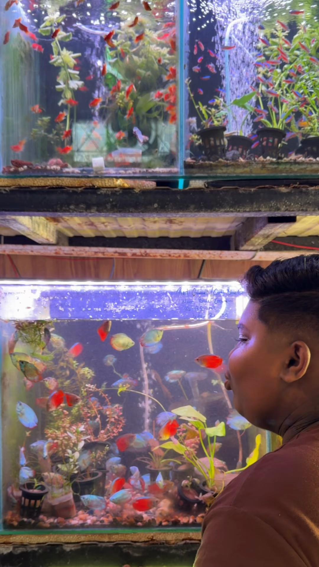@YN Aquatics Ltd
