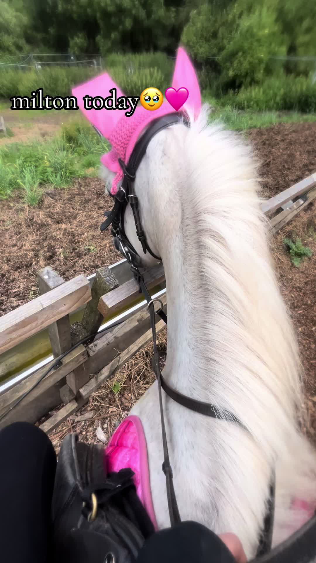 @lilys.riding🎀🐴