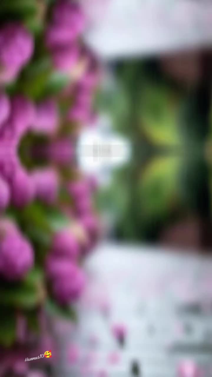 @๐ฆ Hanife ๐