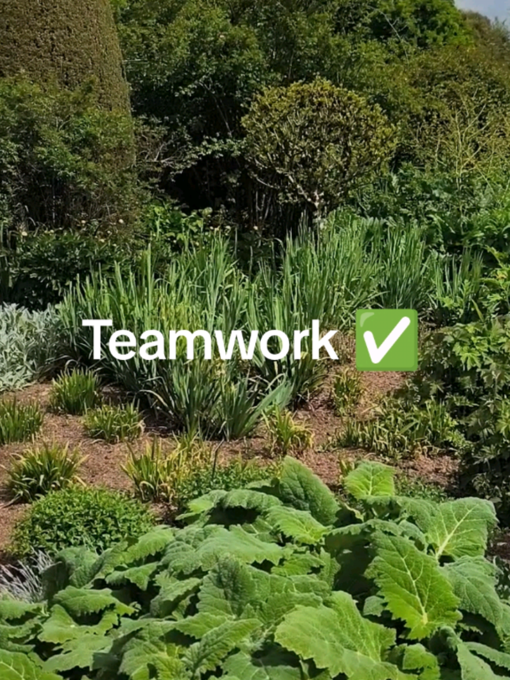 @Teamwork