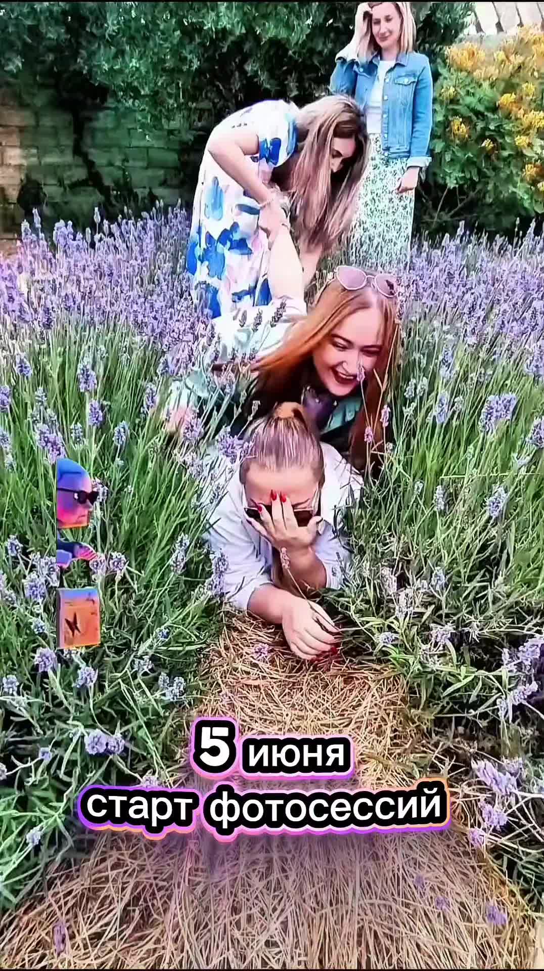@Aria Lavender
