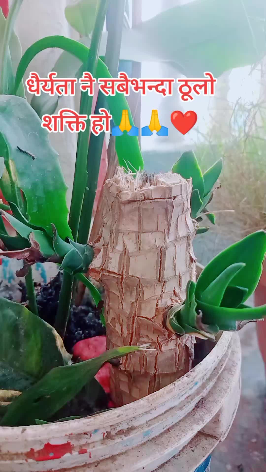 @sita poudel123