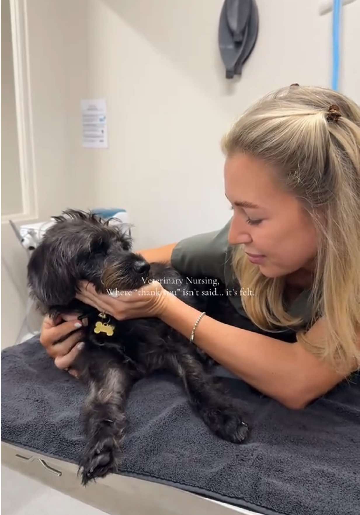 @Tess the Vet Nurse
