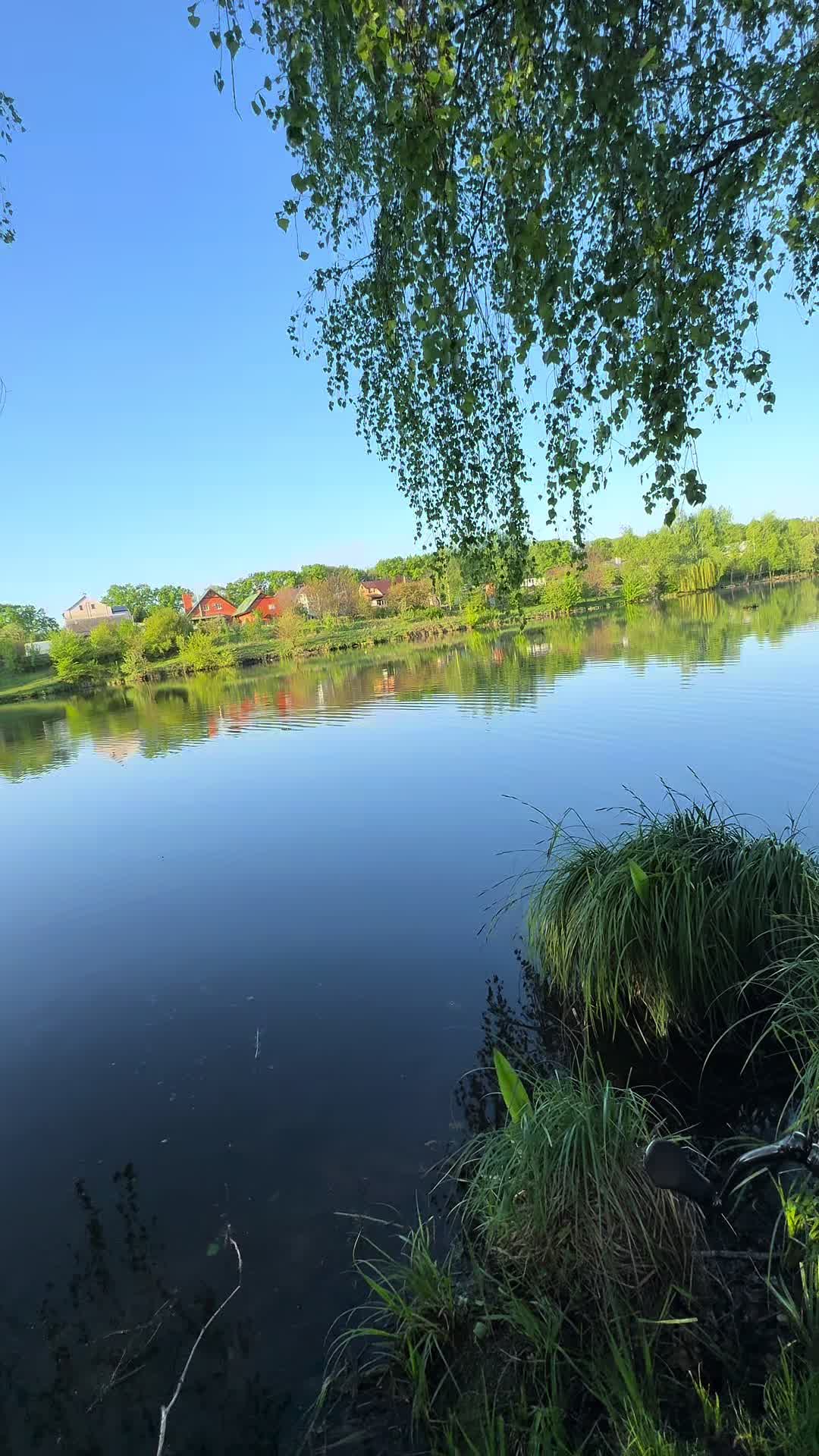 @𝗧𝗚.𝗗𝗬𝗫𝗙𝗜𝗦𝗛🎣