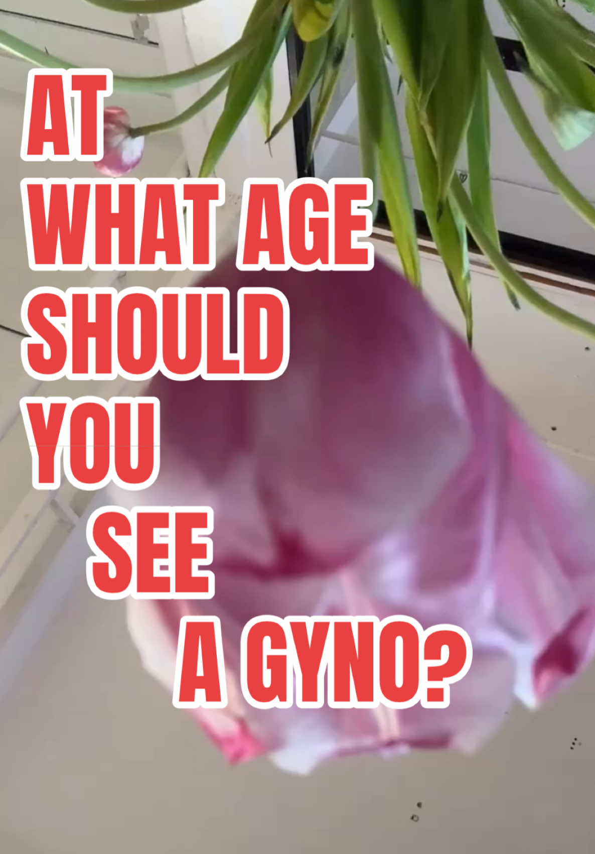 @MOXIE period care