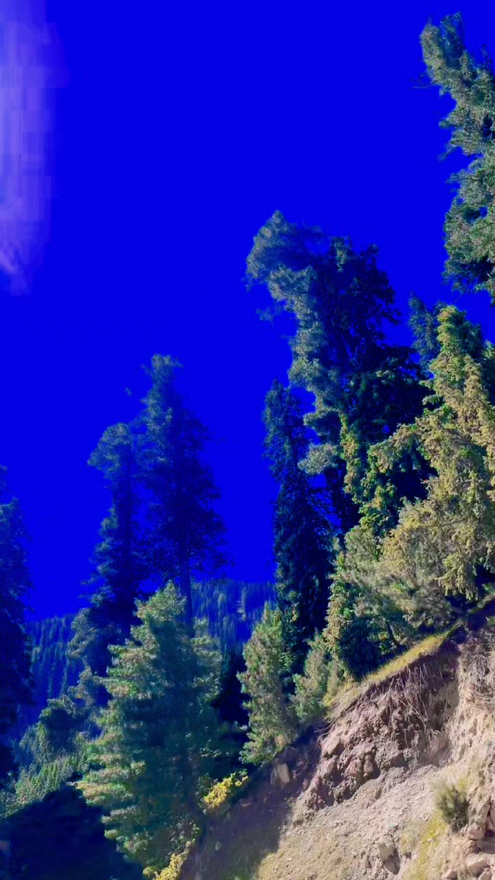@N@v&eacute;&ecirc;d &Oslash;ff&icirc;c@ll
