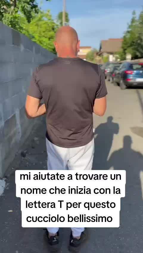 @Alfio Arcifa Magistrale