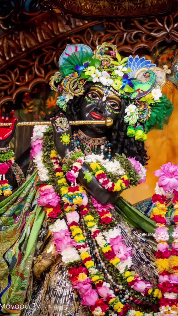 @রাজ চৌধুরী রাজ