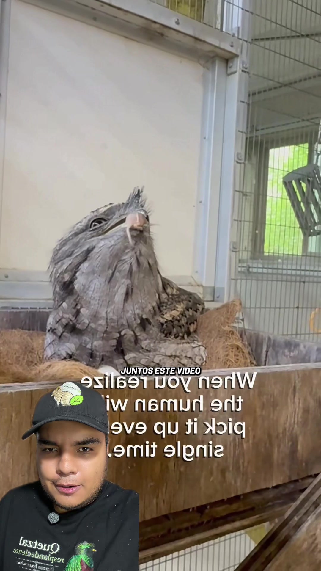 @Jair Herrera 🐆