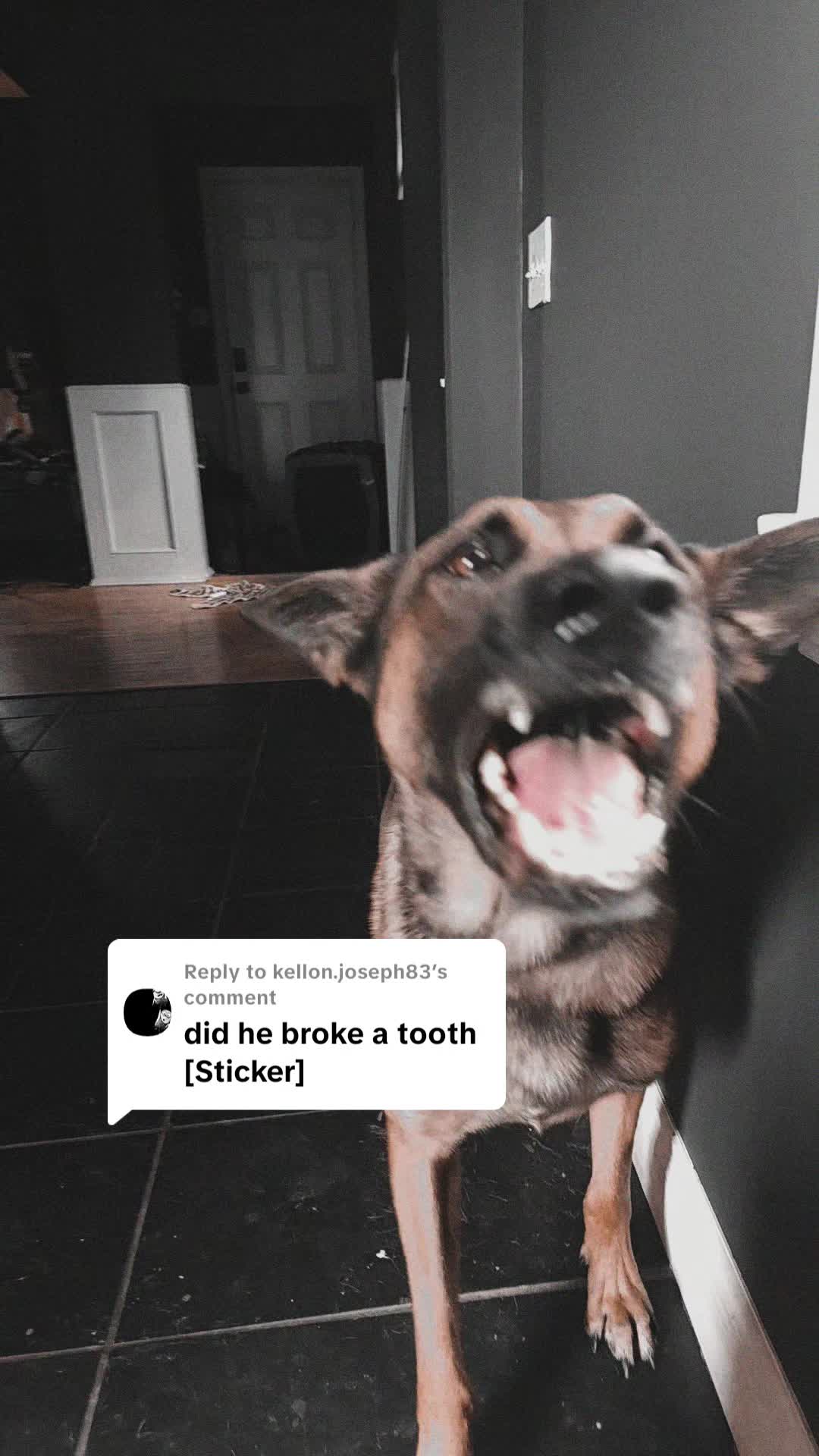 @RaisingHell.Hounds🇨🇦