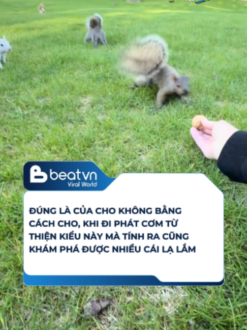 @Beatvn Viral World