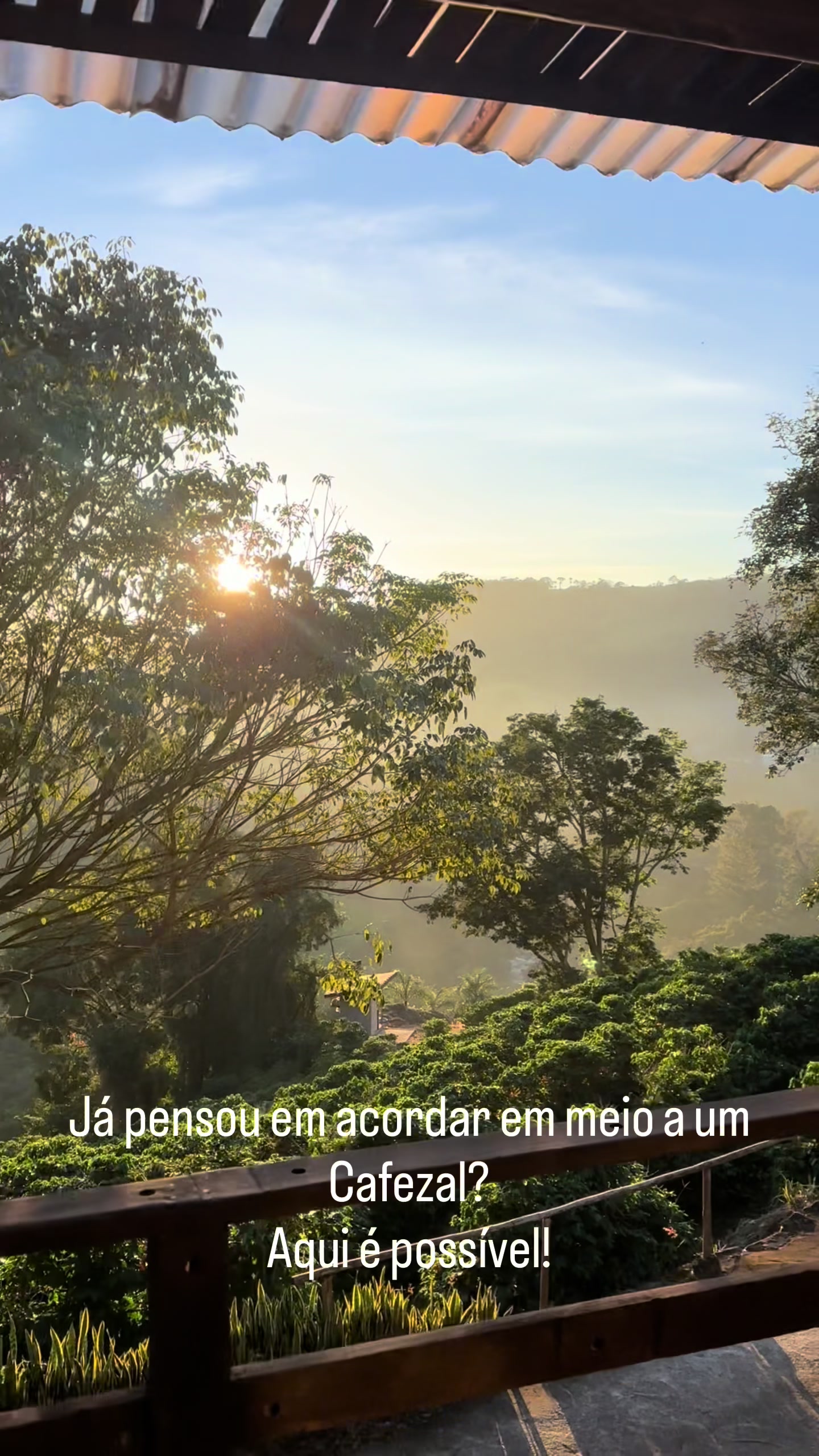 @Cafezal em Flor