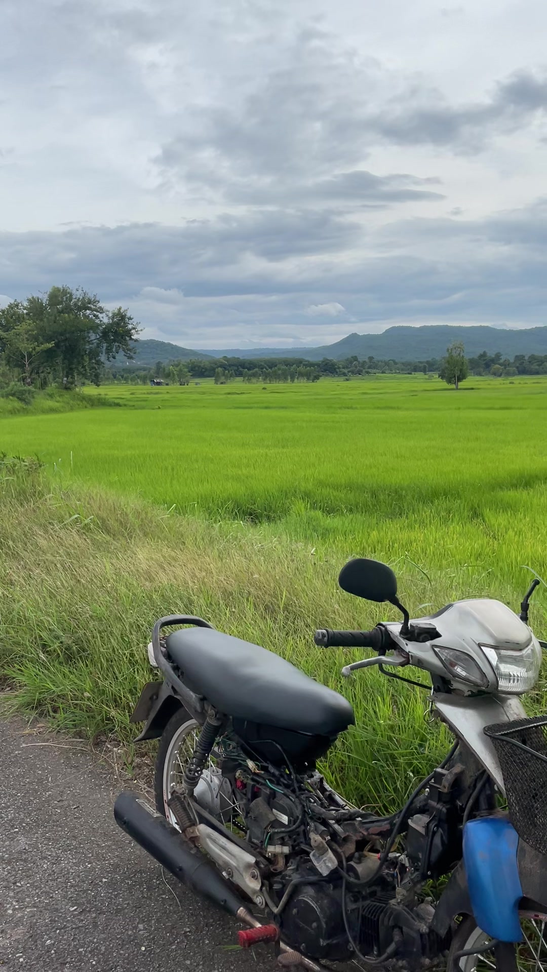 @ช่างหัวหนาม
