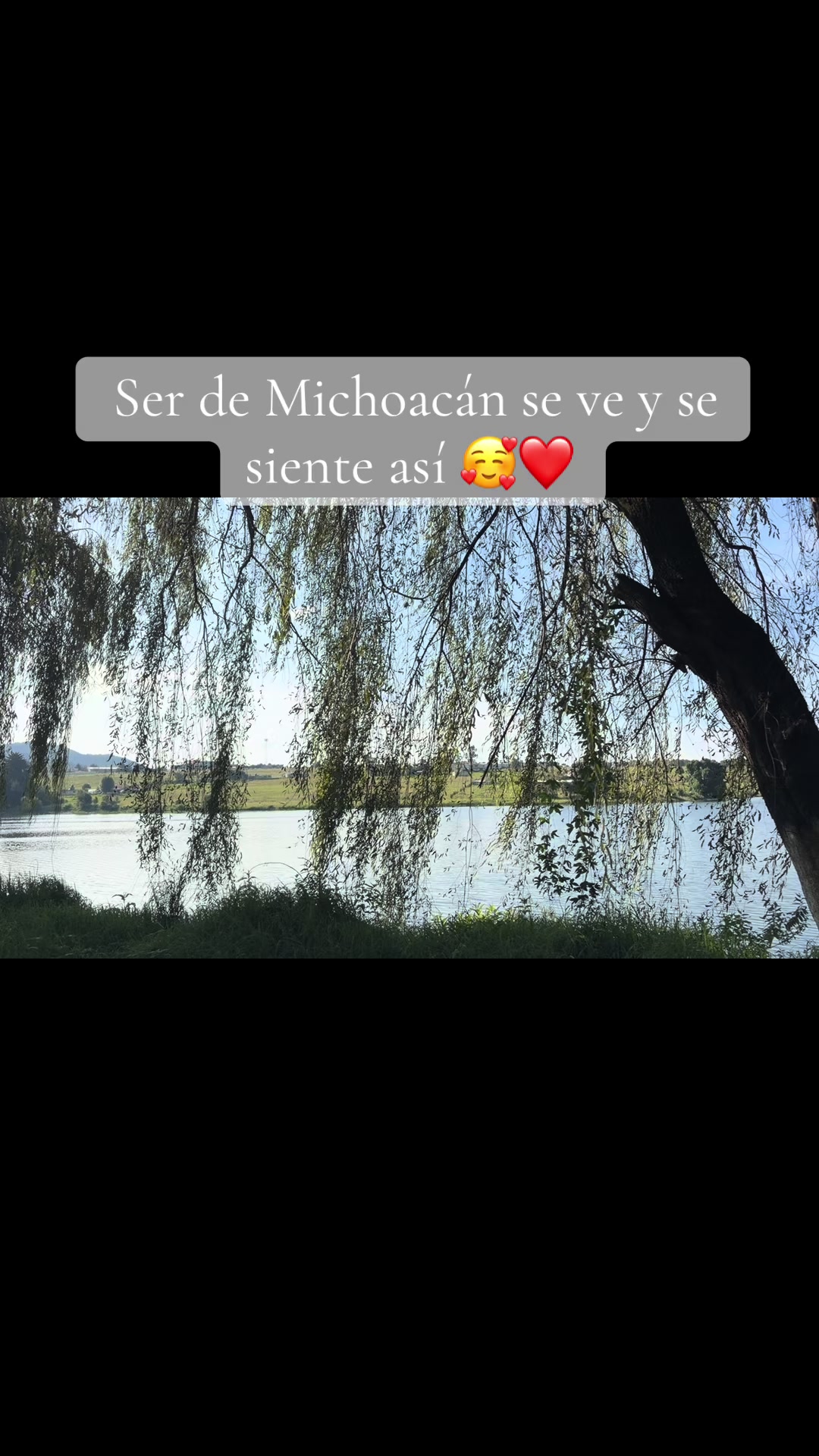 @Susan Reyes