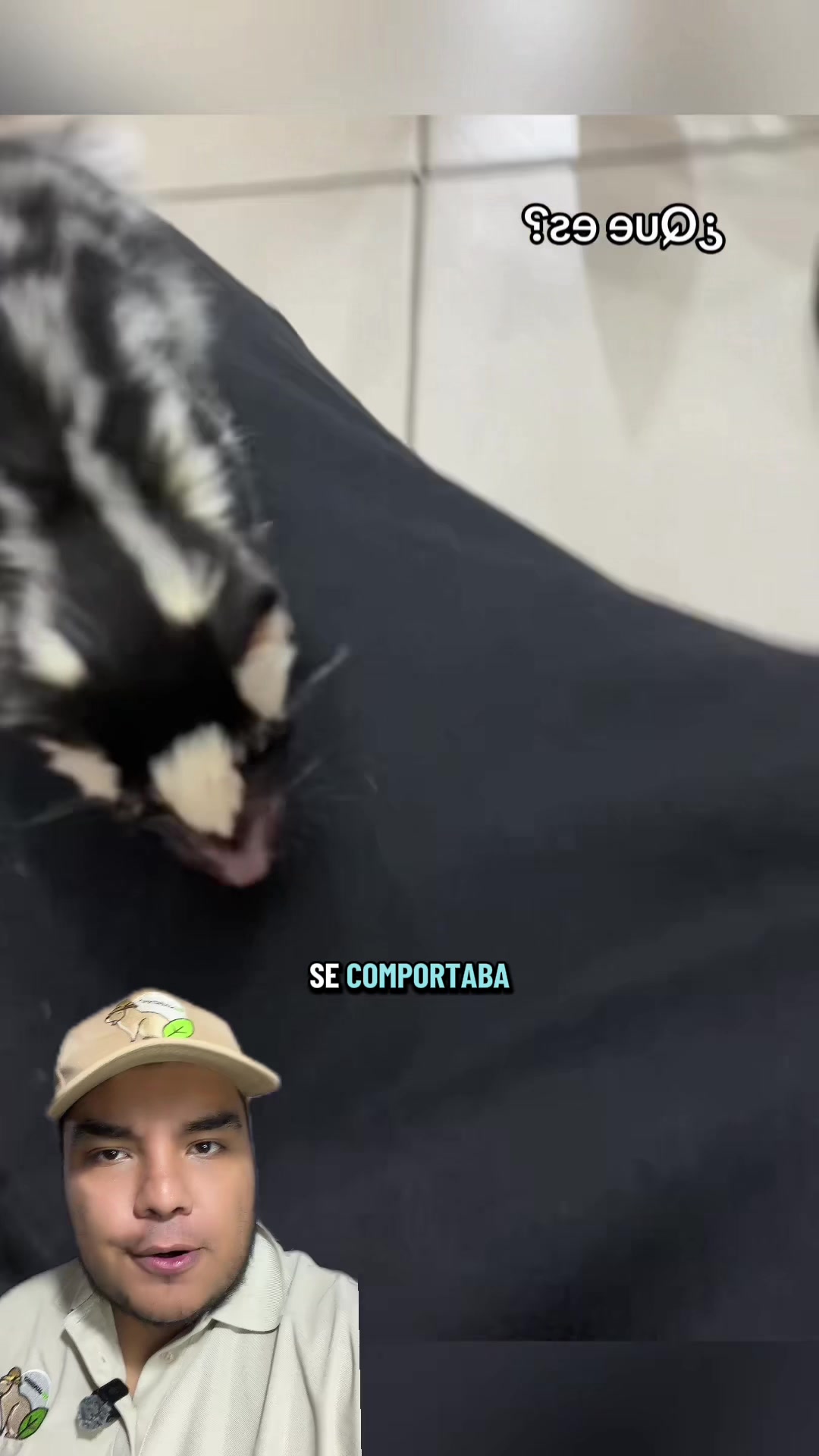 @Jair Herrera 🐆