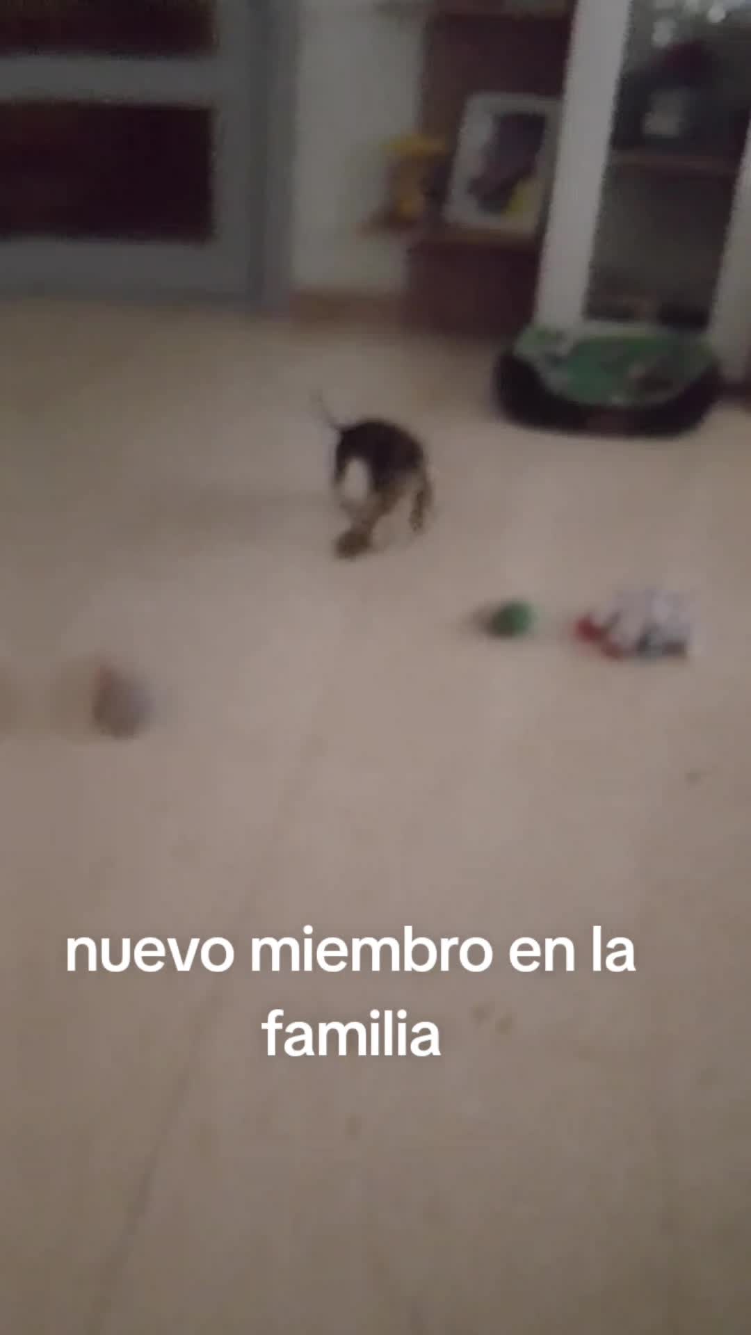 @cosasdeica24
