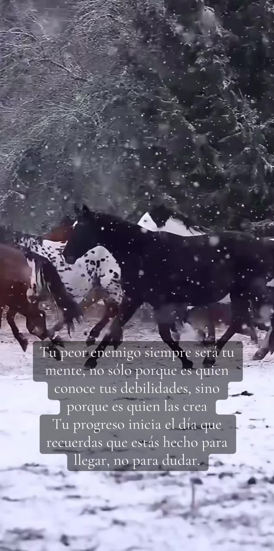 @mayte__18