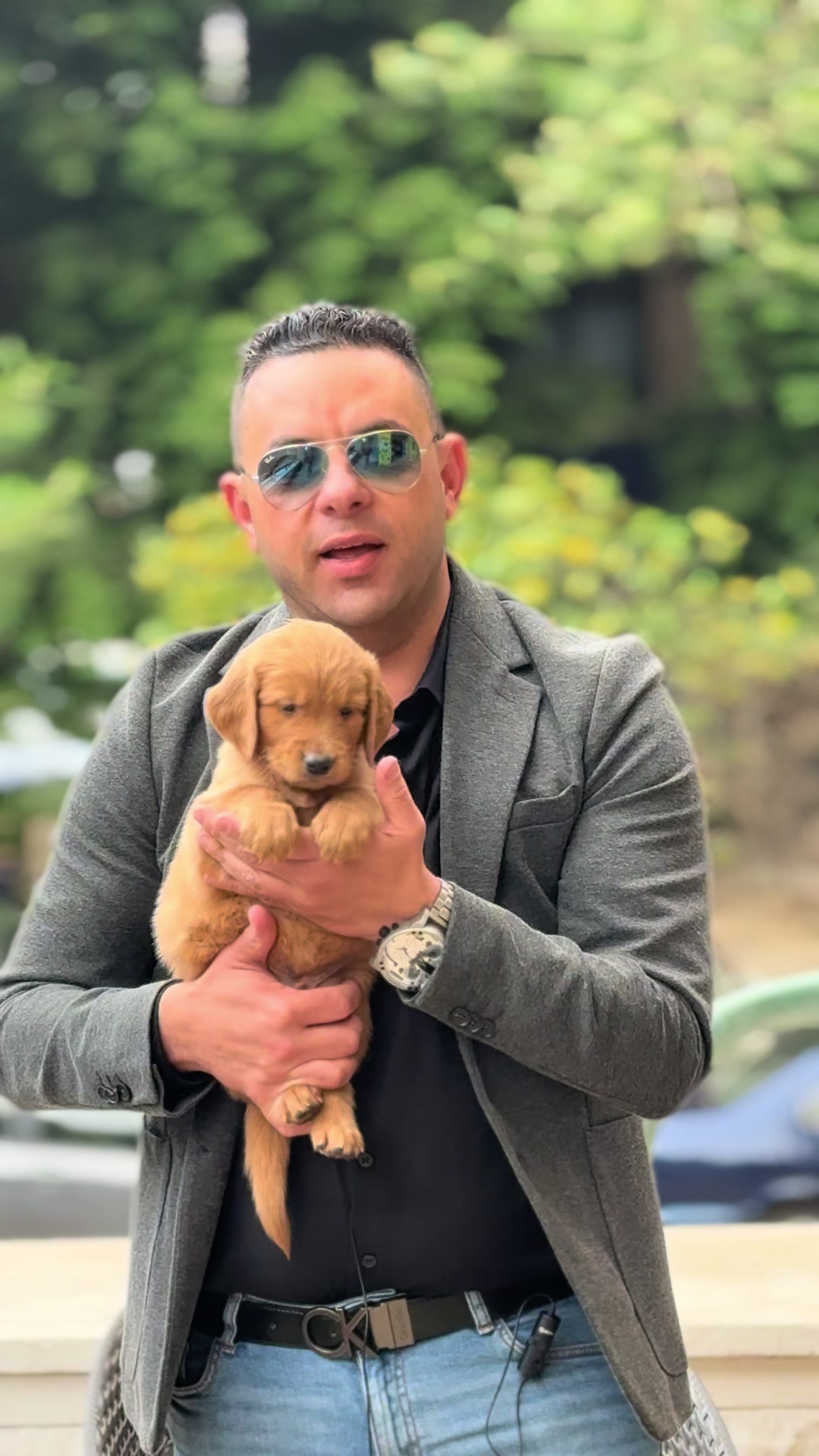 @Dogs Egypt - Ahmed Baher