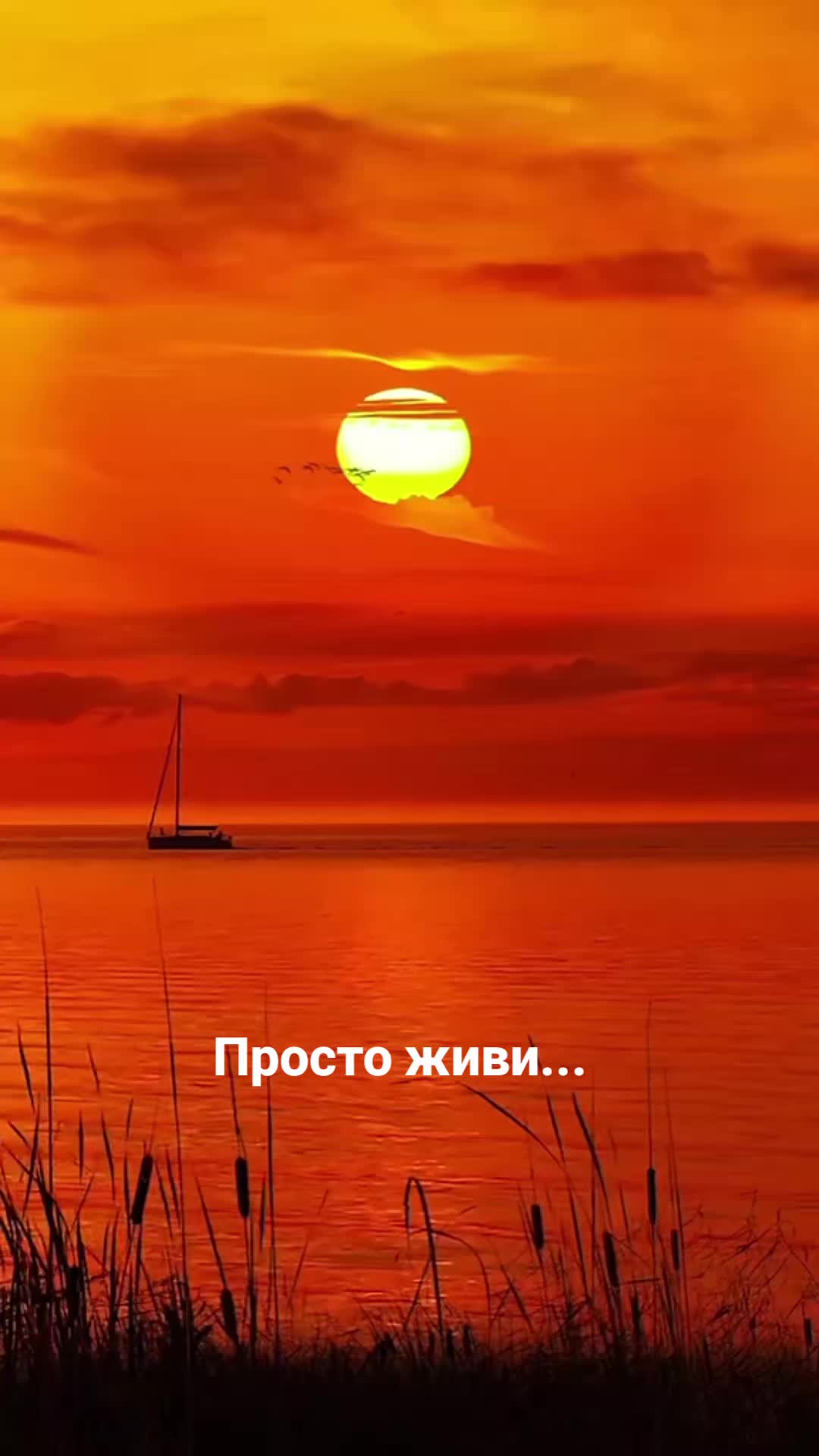 @Мила Телец.
