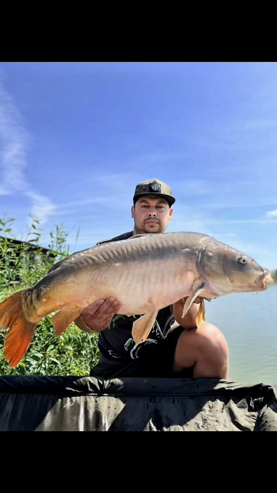 @Stepa Arsen  Carp Rom