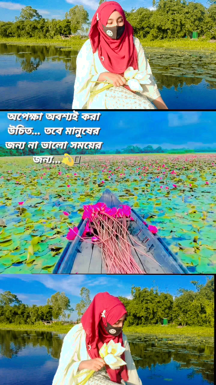 @Rupsa Chowdhury🦋