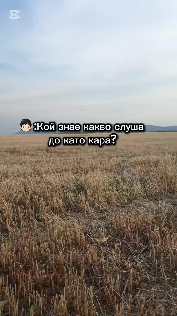 @🥱