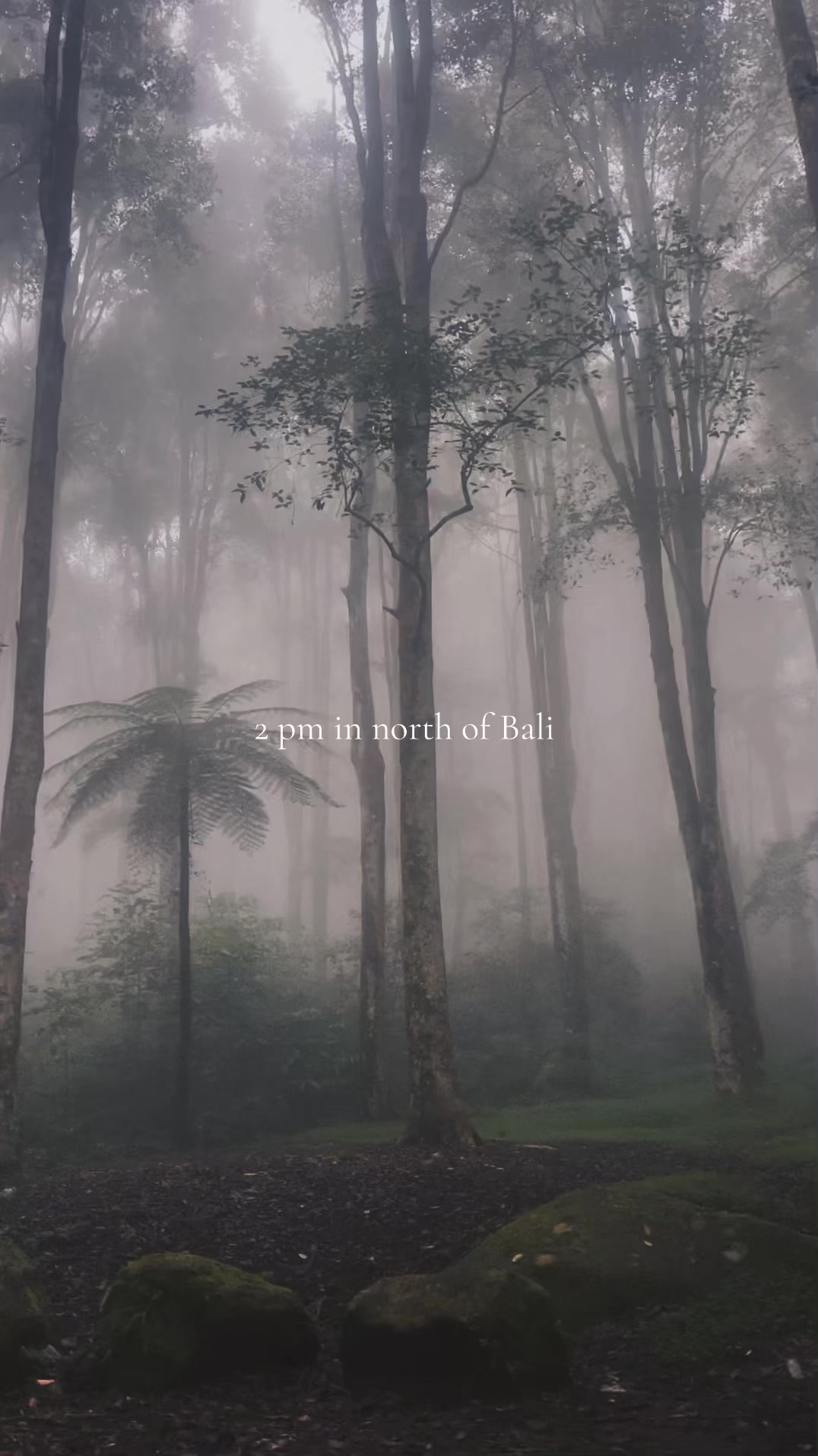 @Bali photography