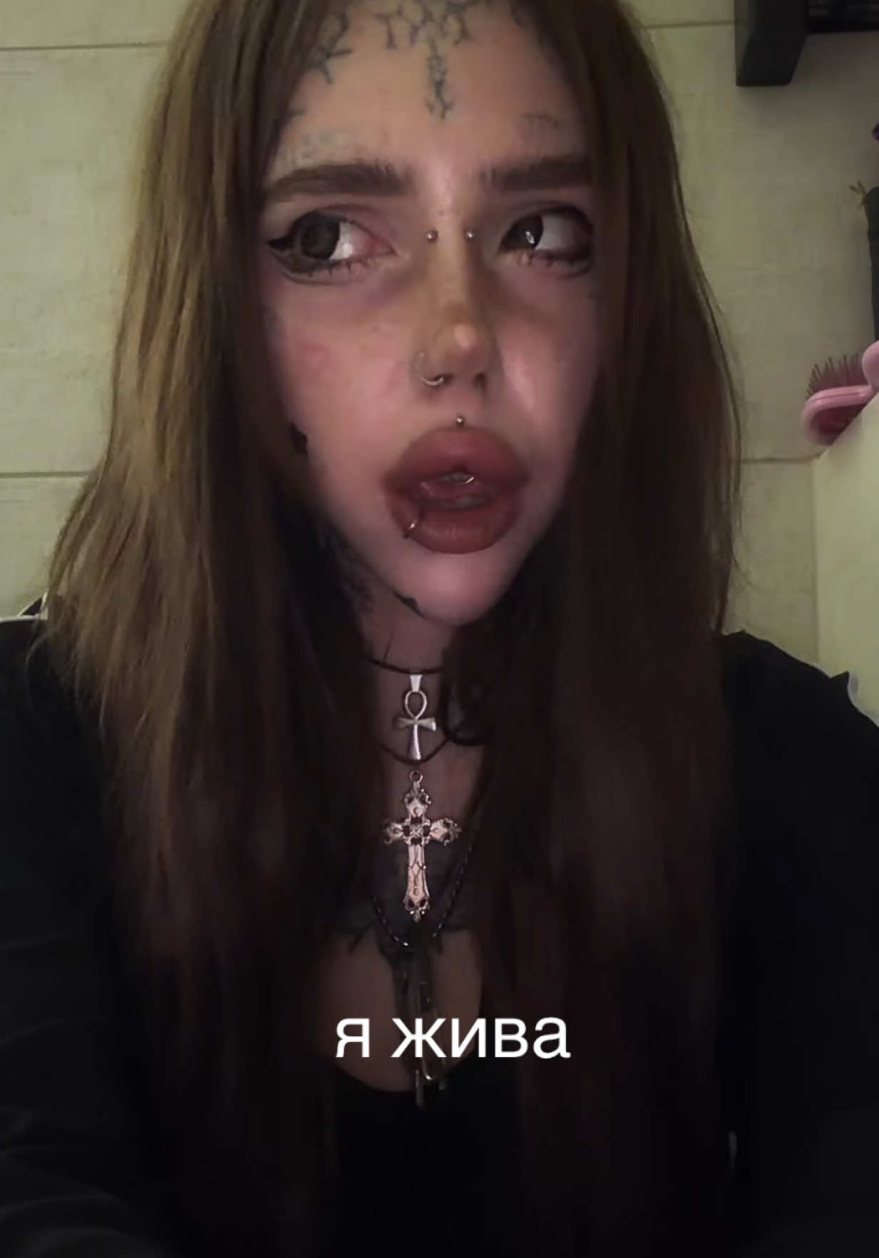 @imLapahapa 🐾