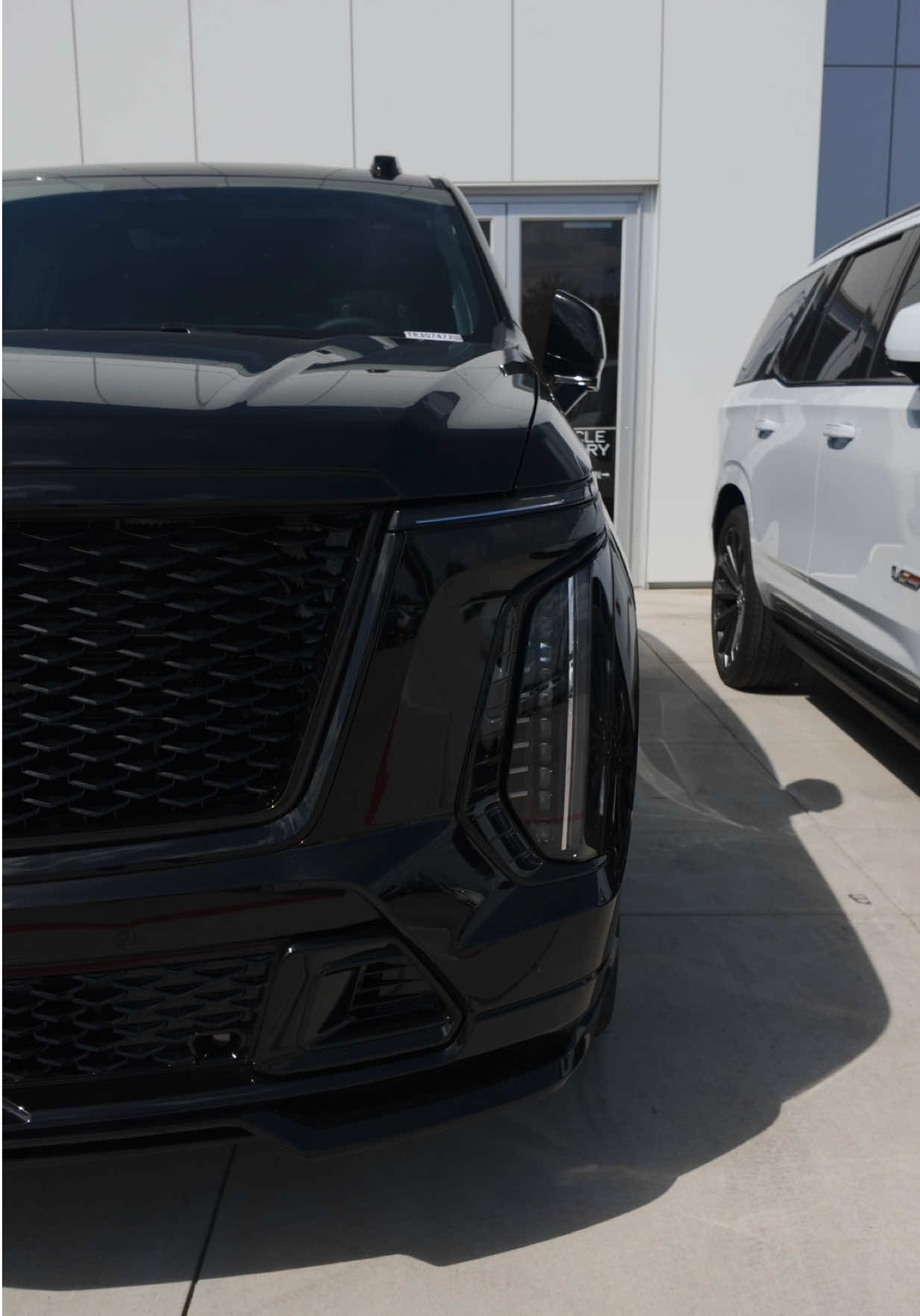 @Cadillac from Ty