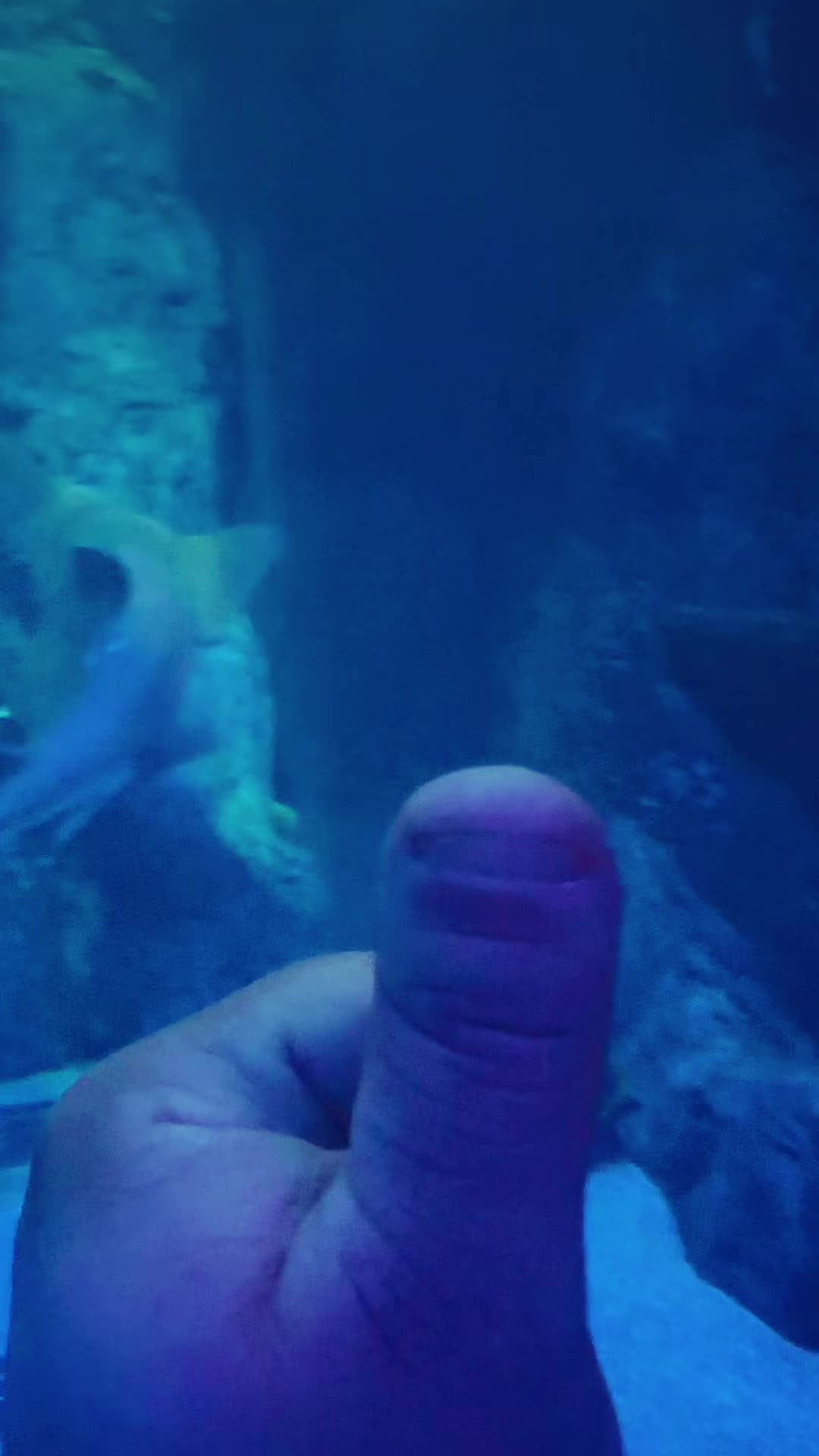 @Thumb on Tour
