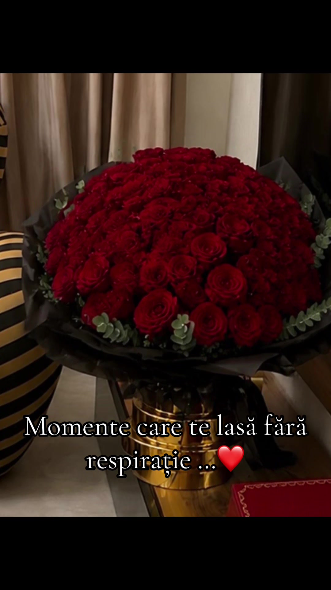 @Roxana Vasniuc