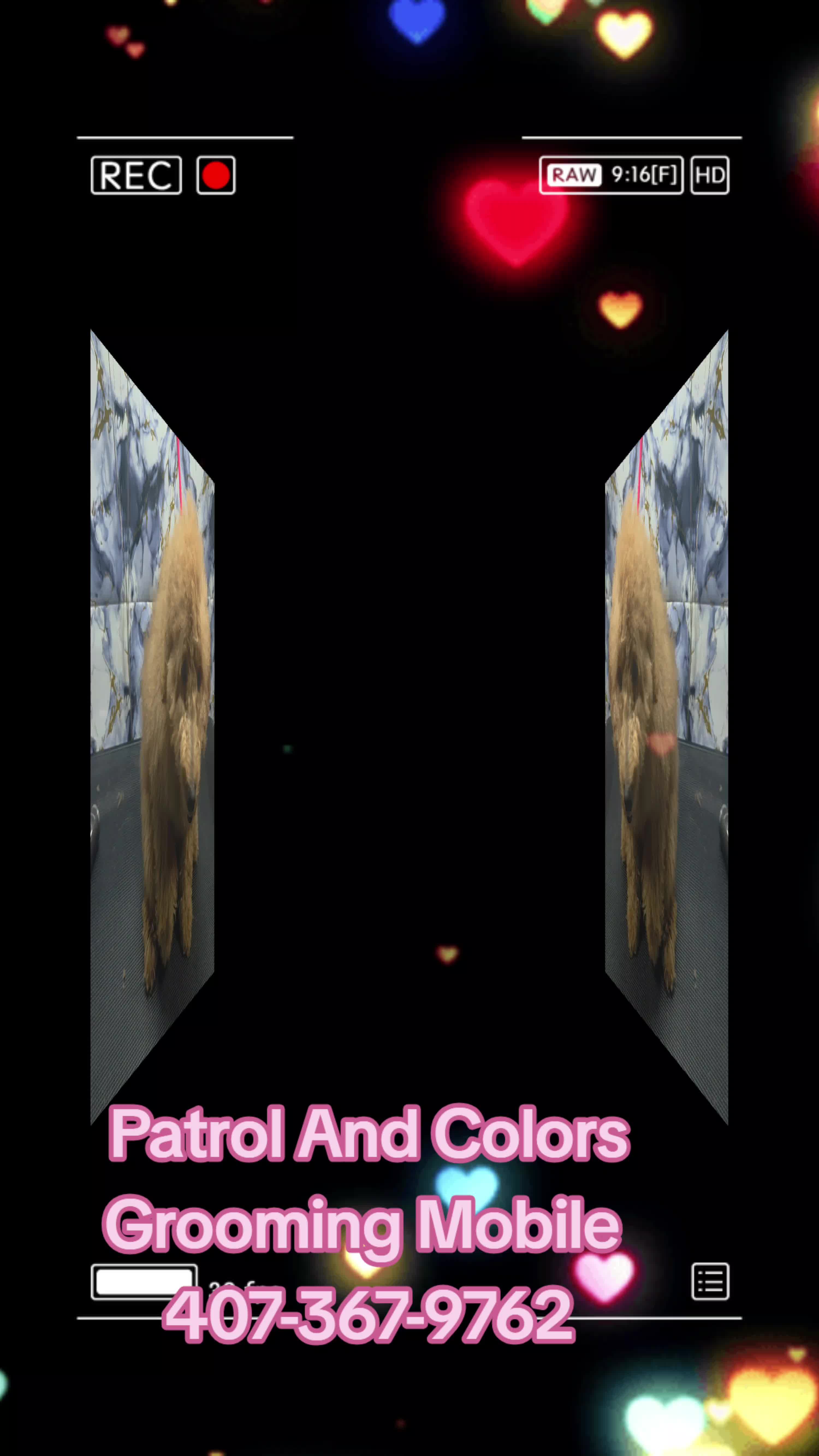 @Patrol and colors Grooming LLC