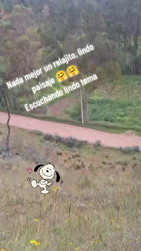 @bertha๐๐๐ค