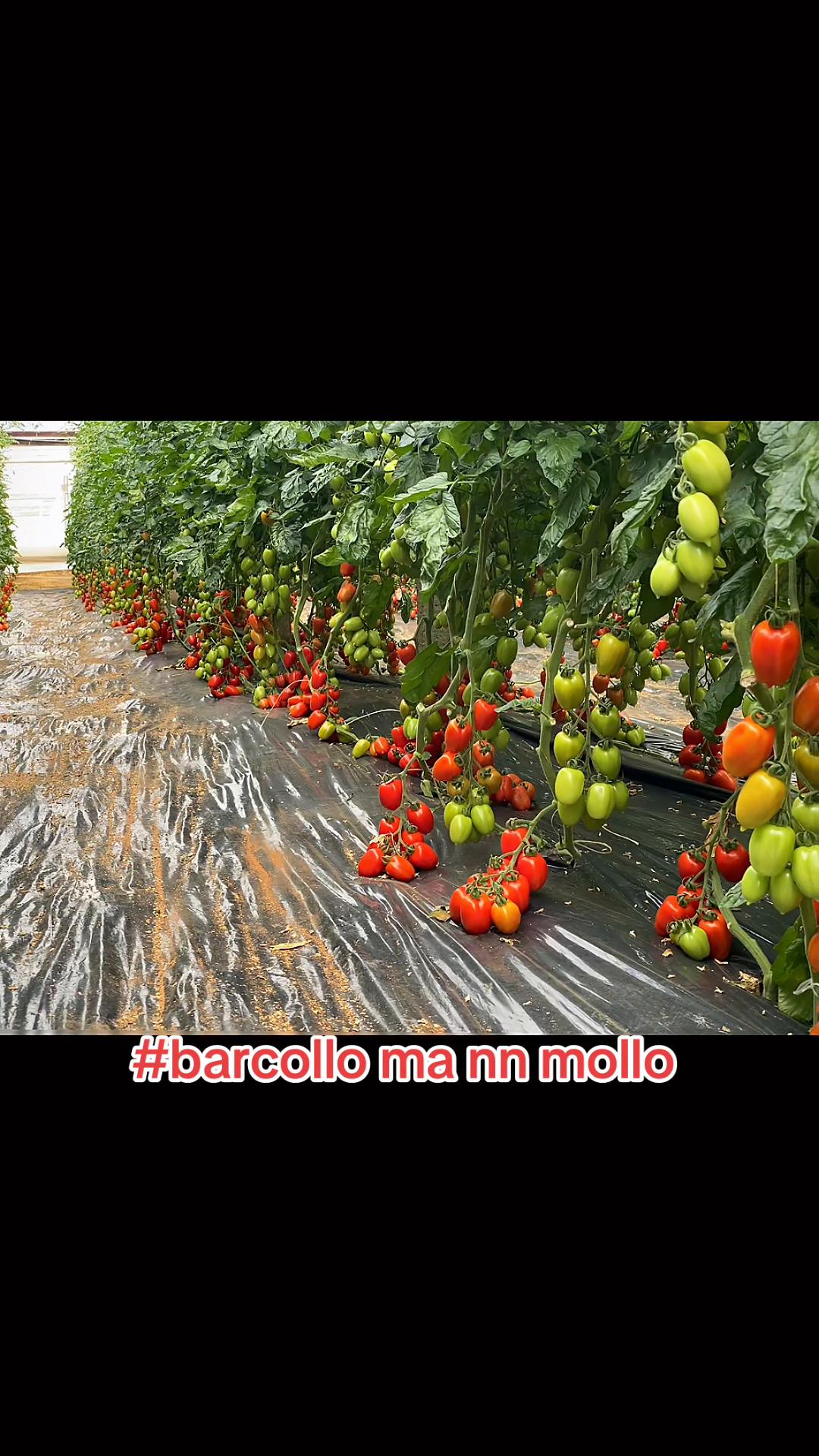 @francescoraimondi85